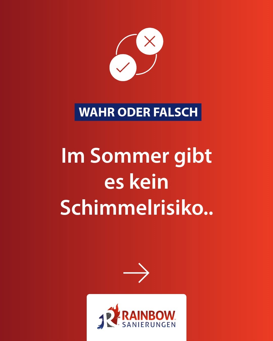 Schimmel im Sommer? Ja, gerade dann kann es kritisch werden!