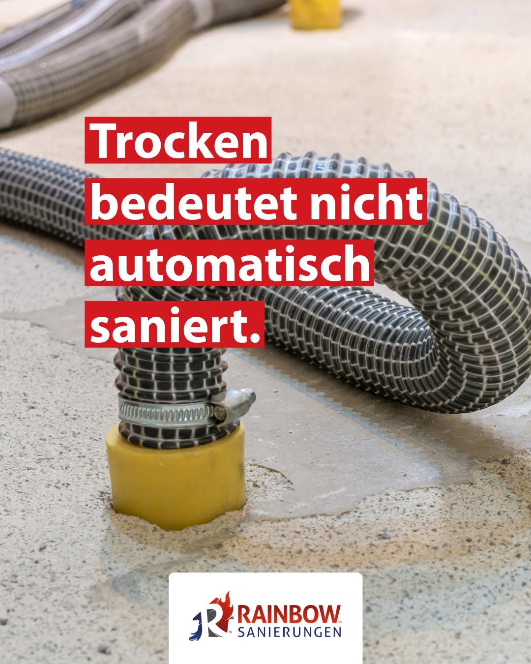 Wasserschaden: Die Feuchtigkeit steckt oft dort, wo man sie nicht sieht